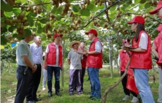 2021年9月24日，西南大学农药研究所所长丁伟教授、重庆市农科院许明陆研究员等人，走进兴泉村猕猴桃种植基地，开展猕猴桃种植技术服务。
