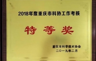 近日，重庆市科协发布了《关于公布2018年度科协工作考核结果的通知》。市产学研促进会荣获2018年度重庆市科协工作考核特等奖。