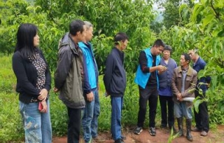 2022年5月14日，组织农技专家在万州区恒合土家族乡五星村开展翠冠梨、血橙等果树种植技术示范指导。