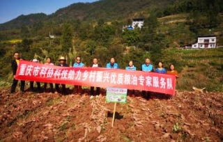 2022年11月6日，优质水稻种植专家志愿服务分队和优质粮油种植专家志愿服务分队，前往恒合乡开展工技术服务和技术指导。