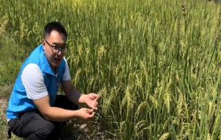 2023市科协专家服务队在万州恒合乡开展水稻生产技术培训
