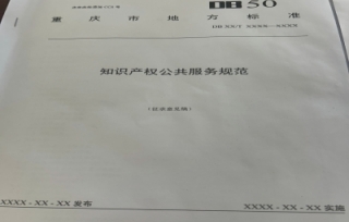 2025促进会参加知识产权公共服务规范工作会