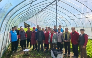 2025冬季大棚蔬菜种植与管理实用农技培训在恒合乡举办