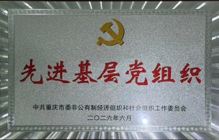 2026年党支部获评“新兴领域先进基层党组织”